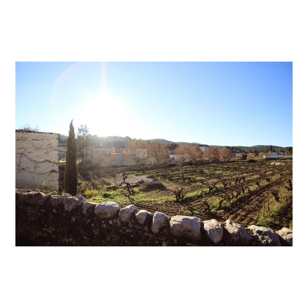 VallDolina Cava Reserva Brut Nature 2021