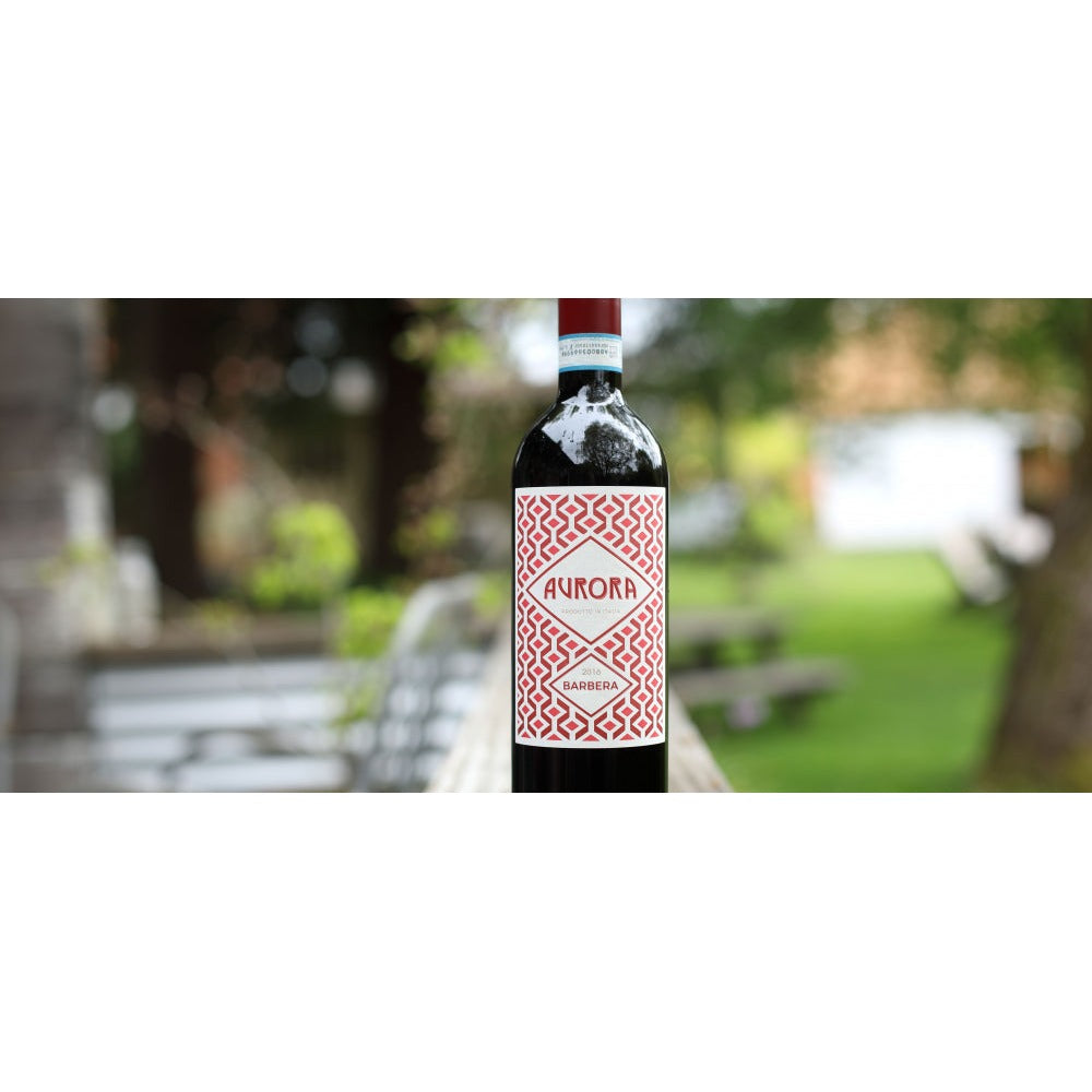 Cantine Volpi "Aurora" Barbera 2023