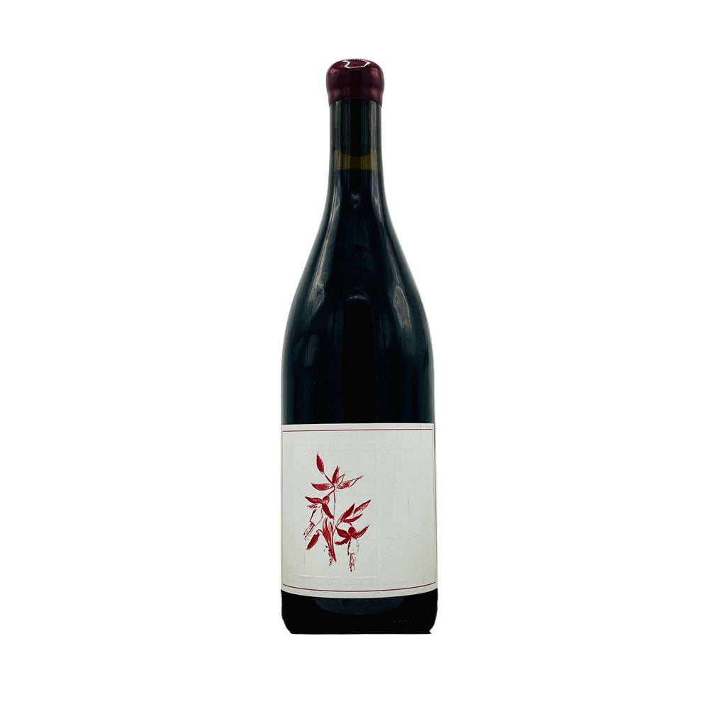 Arnot Roberts Syrah 2022