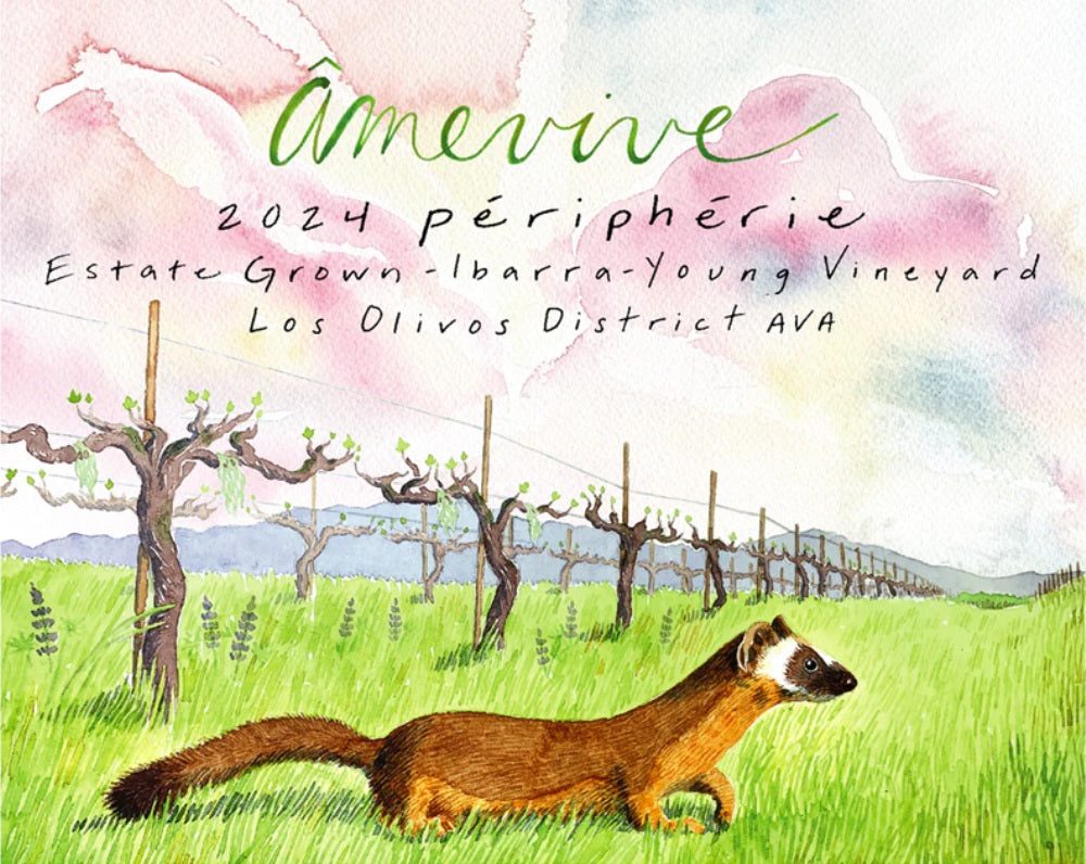 Amevive Estate Peripherie Ibarra Young Vineyard 2024