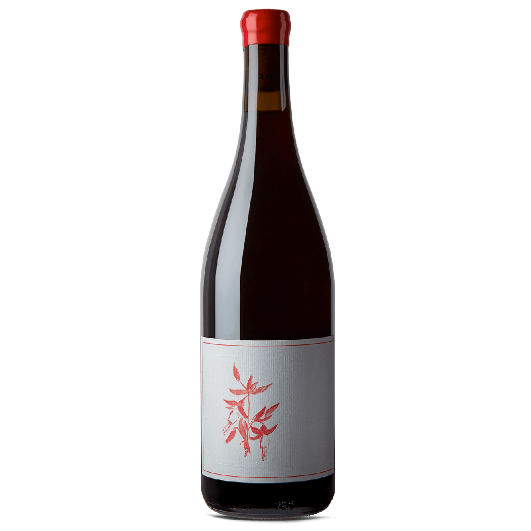 Arnot-Roberts Pinot Noir Peter Martin Ray 2024