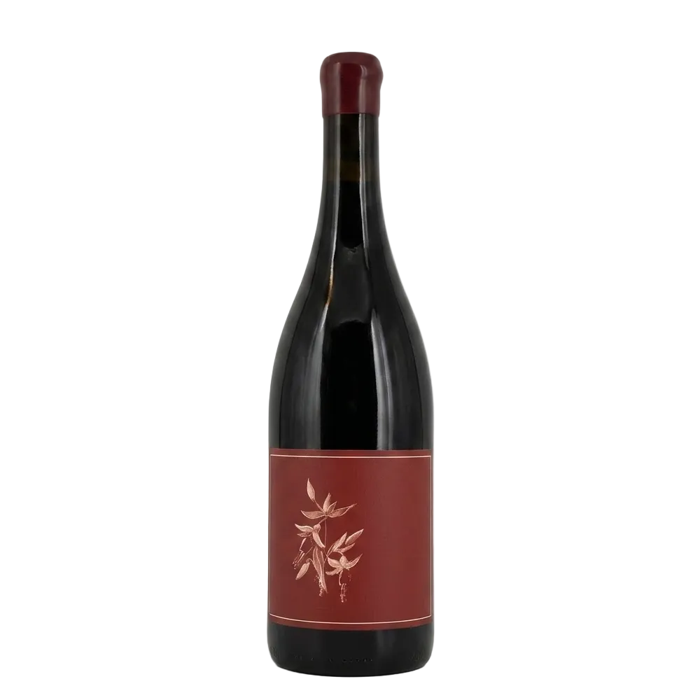 Arnot-Roberts Syrah Sonoma Coast 2024