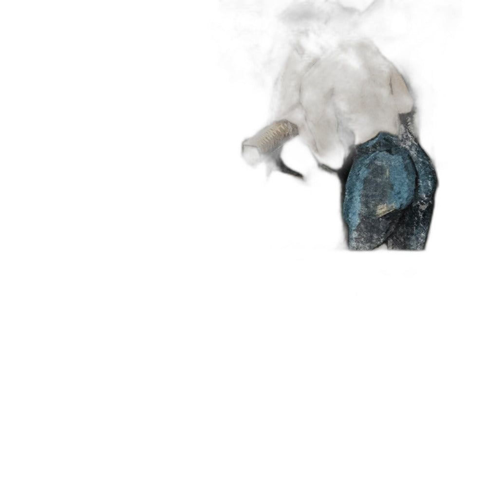 Etienne Bodet Saumur Blanc Graippeaux 2022