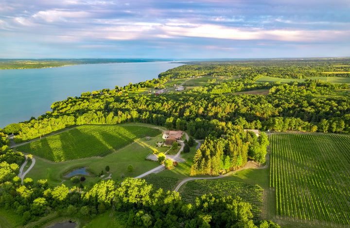 Ticket: Winemaker Shop Tasting - Finger Lakes Duo: Buttonwood Grove Winery Vineyards & 680 Cellars