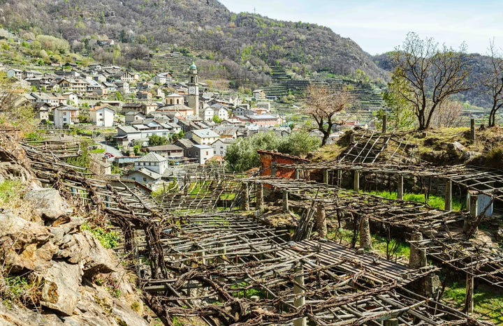 Muraje Vino Rosso "Lasu" 2021