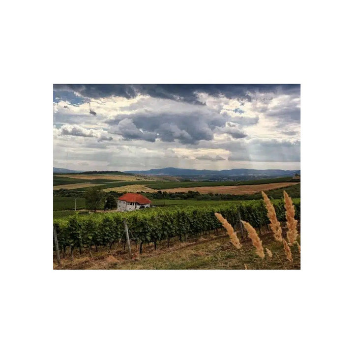 Chateau Pajzos Aszu Tokaji 5Puttonyos 2017 - 500 ml