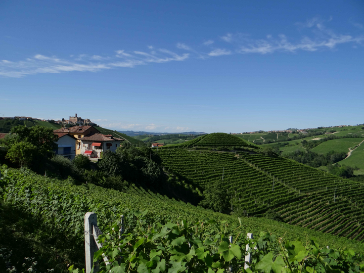 Elio Sandri Cascina Disa Langhe Nebbiolo 2023