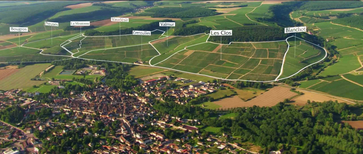 Ticket - Discover the Terroirs of Chablis - Seated & Guided Class Tasting Wed 2/4