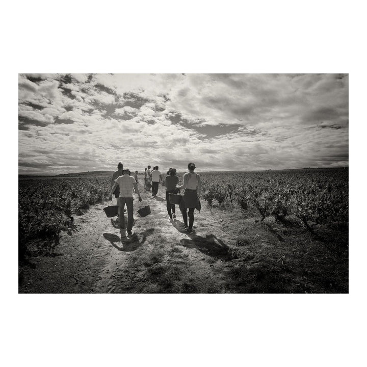 Clos de Mez "Chateau Gaillard" 2018