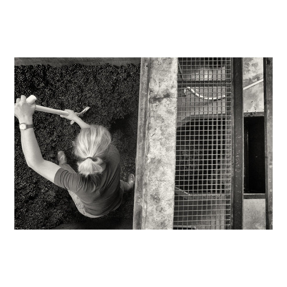 Clos de Mez "Chateau Gaillard" 2018