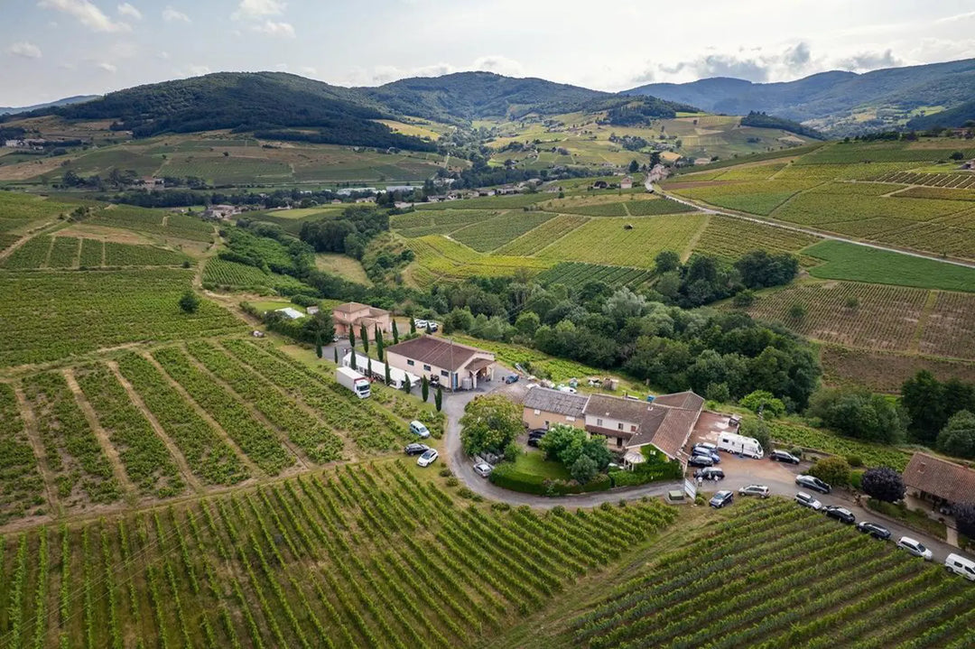 Jean-Paul Dubost Beaujolais-Lantignie 2025