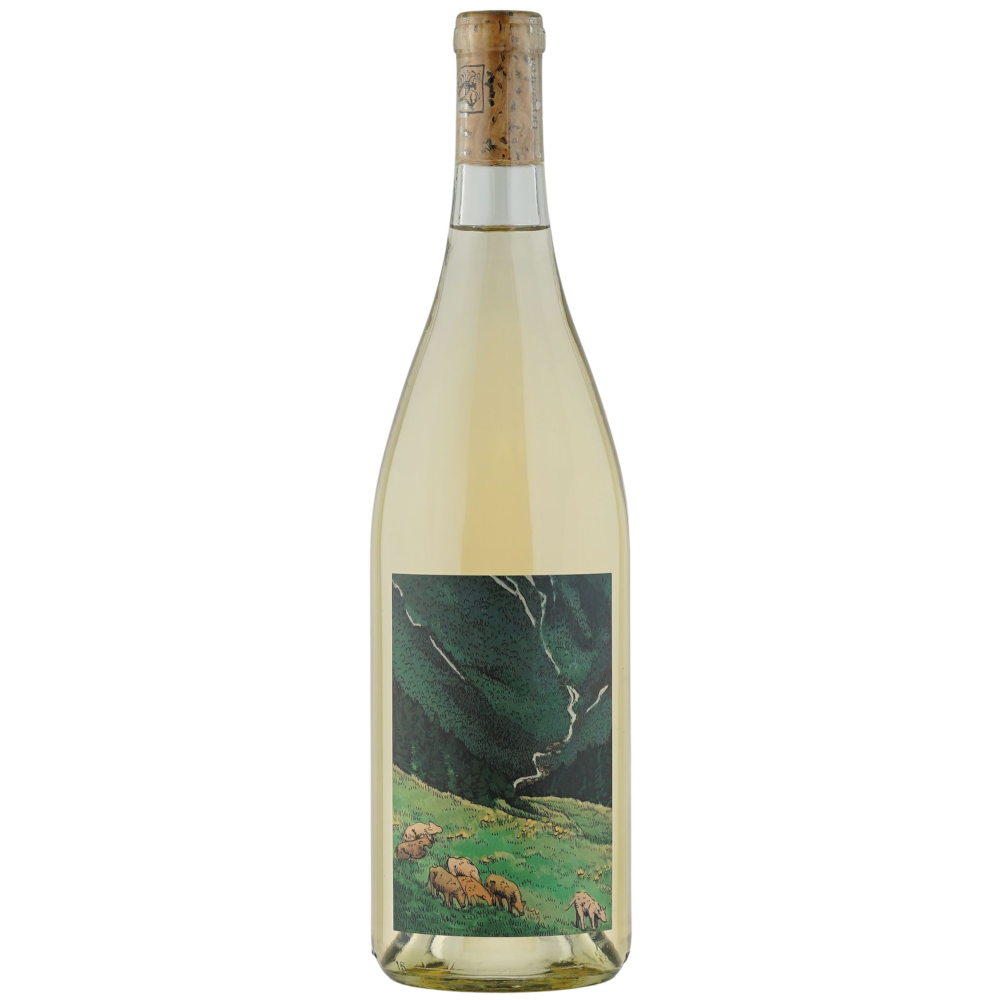 Kelley Fox Gruner Veltliner Willamette Valley 2024
