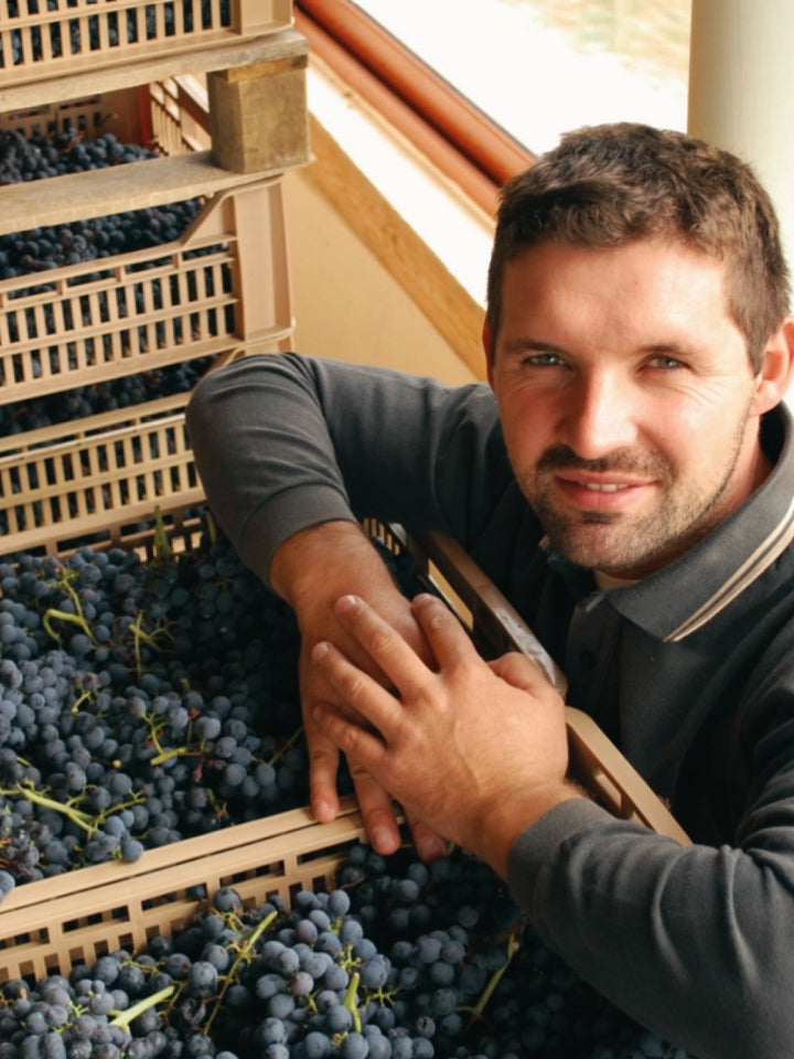 Ticket: L'Arco with Veneto Winemaker Luca Fedrgo Seminar (11/5, 5:30pm)
