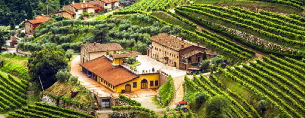 Ticket: L'Arco with Veneto Winemaker Luca Fedrgo Seminar (11/5, 5:30pm)