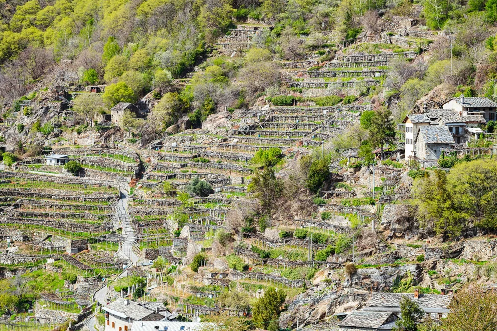 Alto Piemonte Muraje Carema Riserva 2018 - Fine Italian Wine
