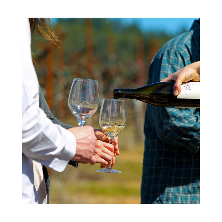 Donelan Family Nancie Chardonnay 2021