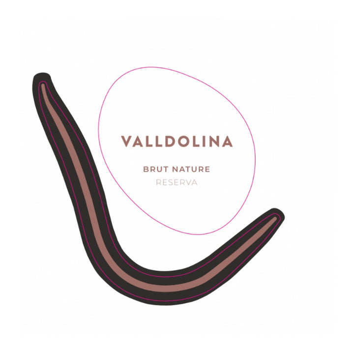 VallDolina Cava Reserva Brut Nature 2021
