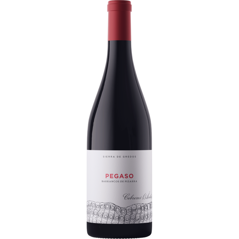 Telmo Rodriguez Pegaso Barrancos de Pizarra 2019