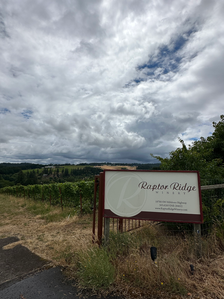 Raptor Ridge Sauvignon Blanc Willamette Valley 2025