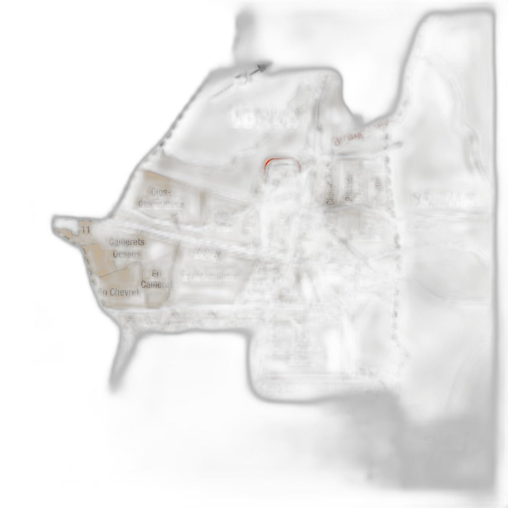 Benjamin Leroux Clos de la Cave des Ducs Volnay 1er 2023