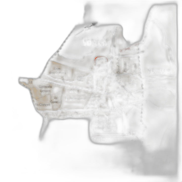 Benjamin Leroux Clos de la Cave des Ducs Volnay 1er 2023