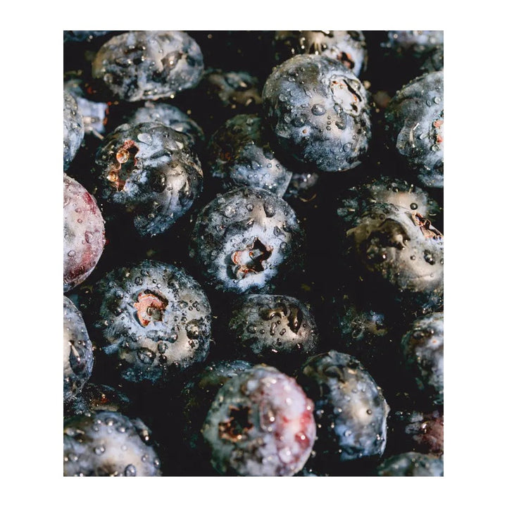 Fuentespina Crianza 2021