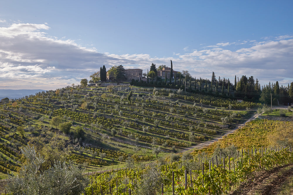 Castagnoli Chianti Classico Riserva Terrazze 2021