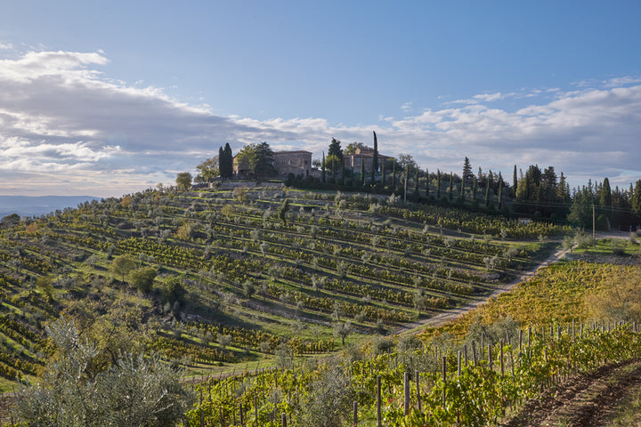 Castagnoli Chianti Classico Riserva Terrazze 2021