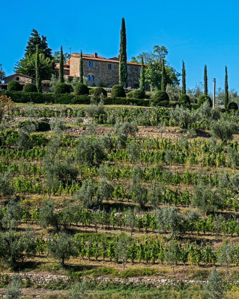 Castagnoli Chianti Classico Riserva Terrazze 2021