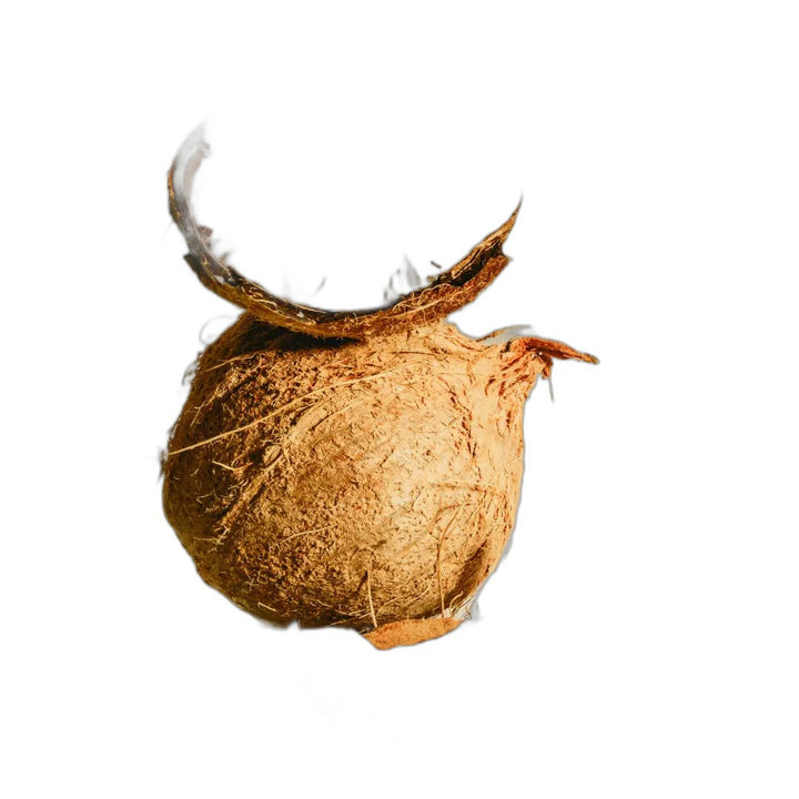 Fuentespina Crianza 2021