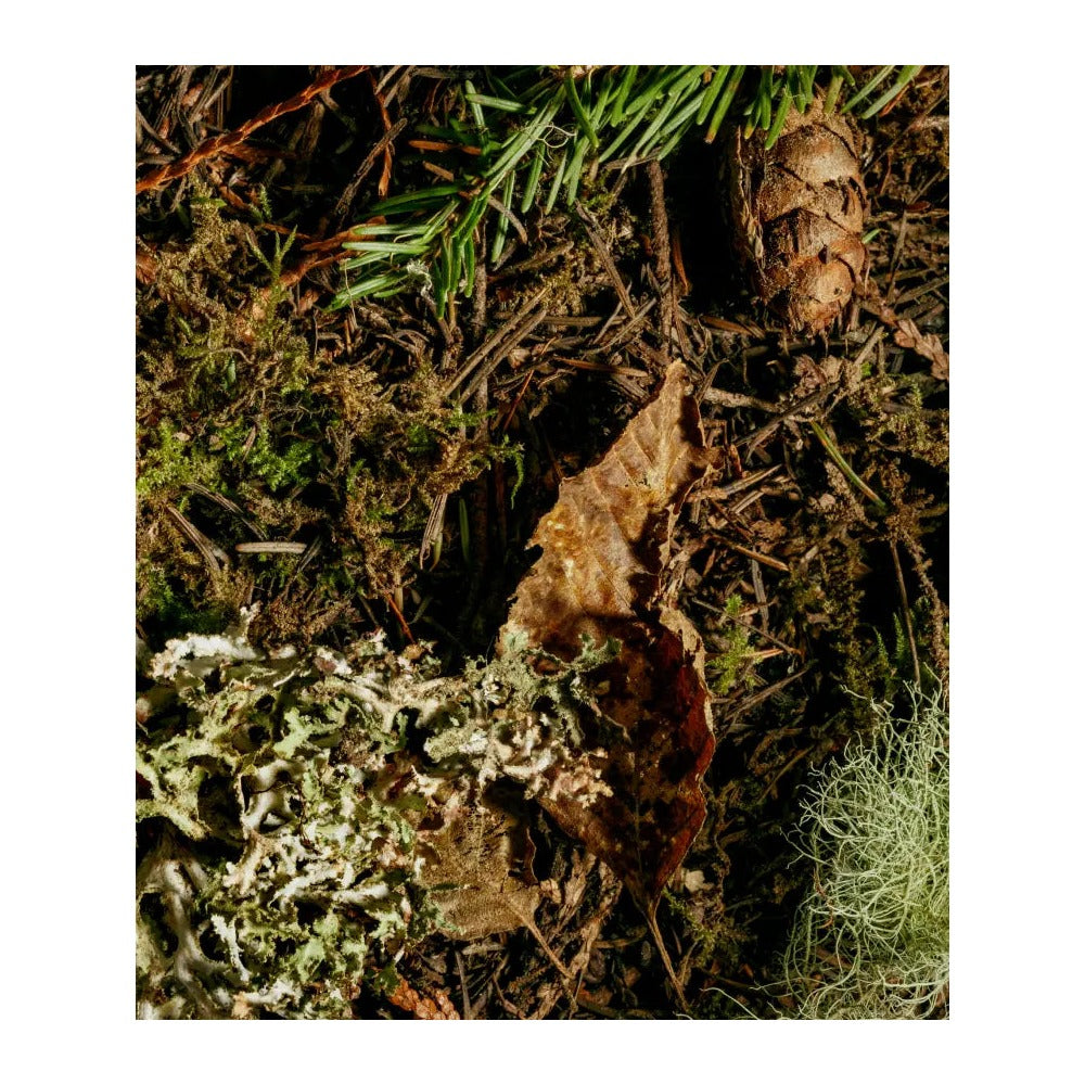 Fuentespina Crianza 2021