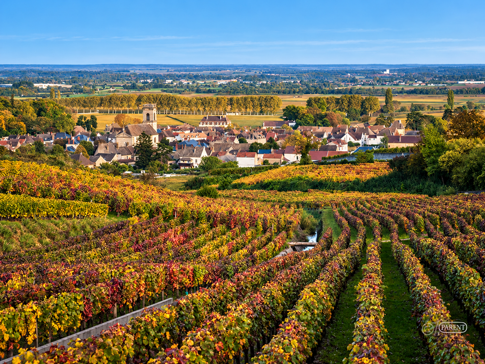 TICKET - Domaine Parent Wine Dinner 11/11 @ Nanas