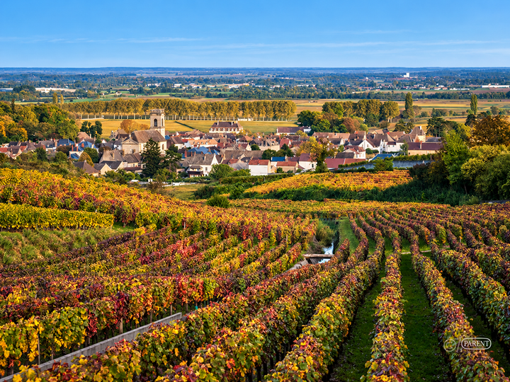 TICKET - Domaine Parent Wine Dinner 11/11 @ Nanas