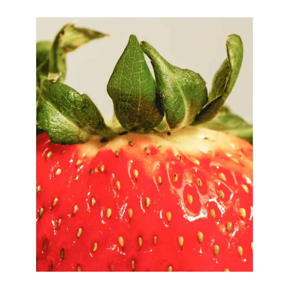 Fuentespina Crianza 2021