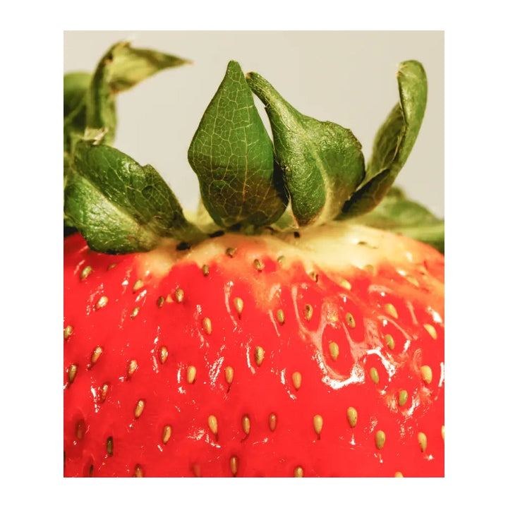 Fuentespina Crianza 2021