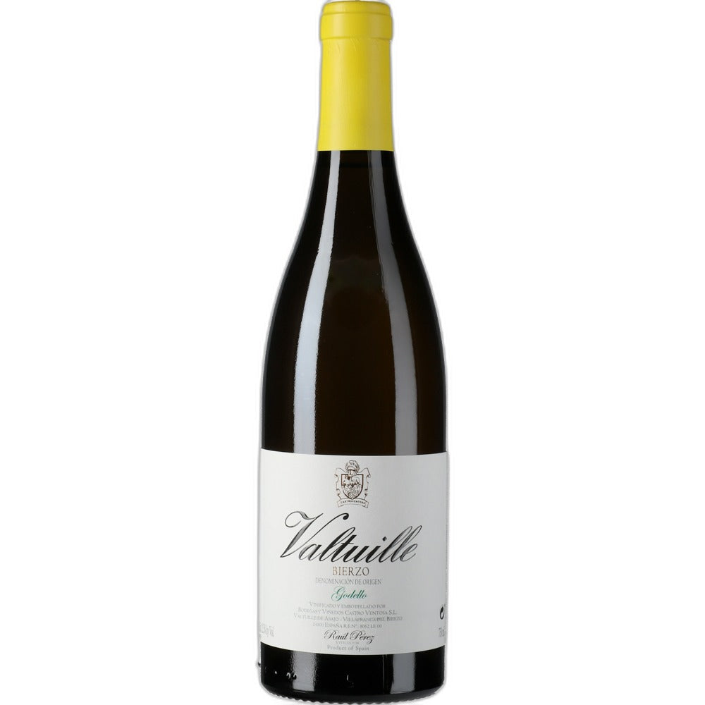 Castro Ventosa Valtuille Godello 2019 | Bierzo, Spain – Wine Solutions